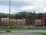 SOO 600441